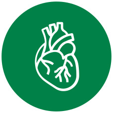 Cardíaca e Endovascular