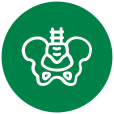 Quadril